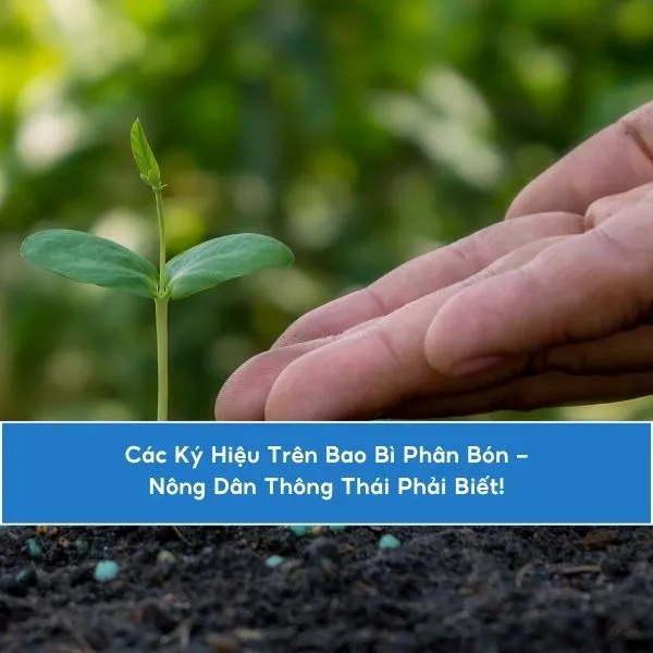 Các Ký Hiệu Trên Bao Bì Phân Bón – Nông Dân Thông Thái Phải Biết!